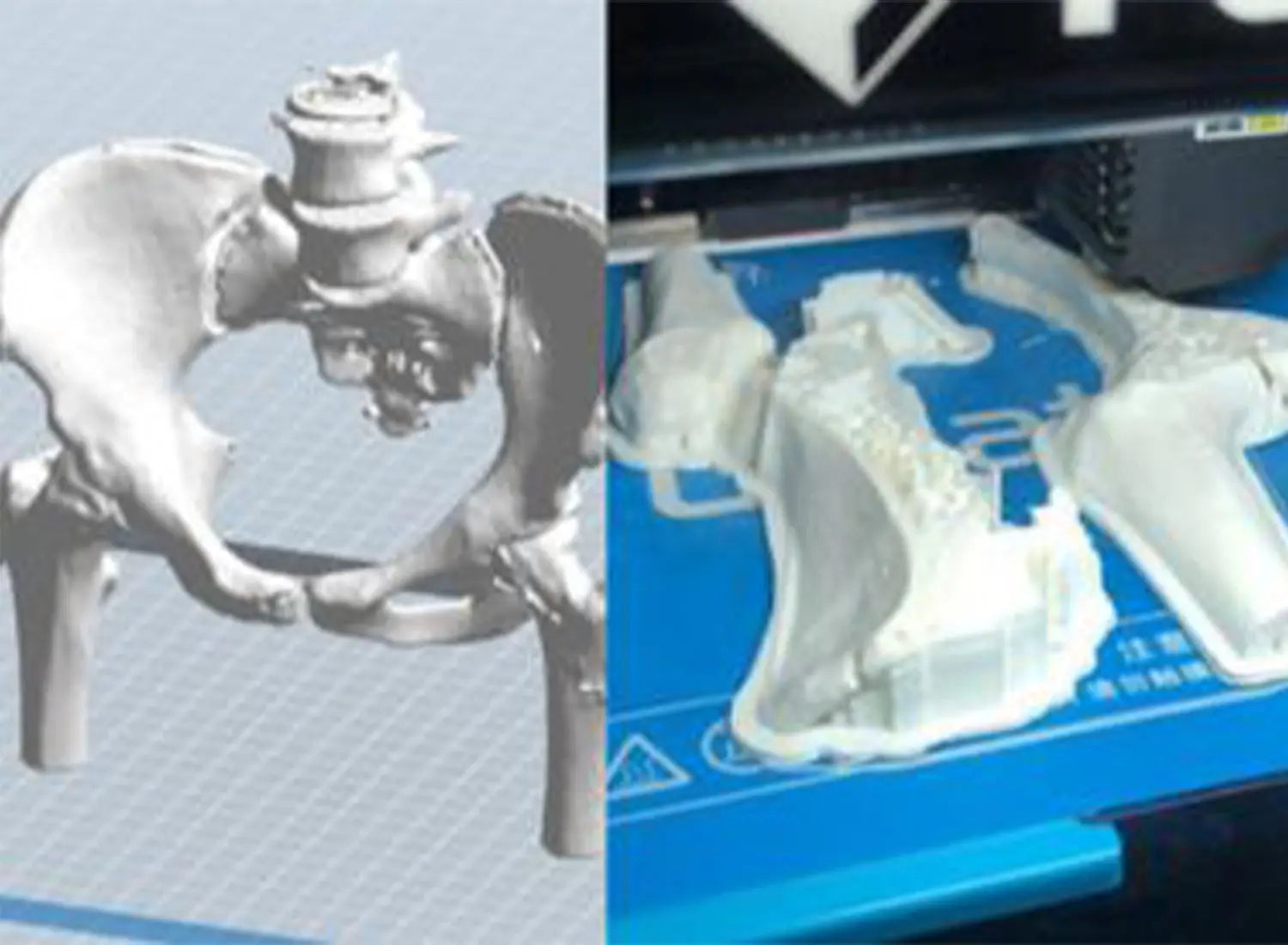 Innovations-in-3D-Bioprinting-Techniques Flashforge